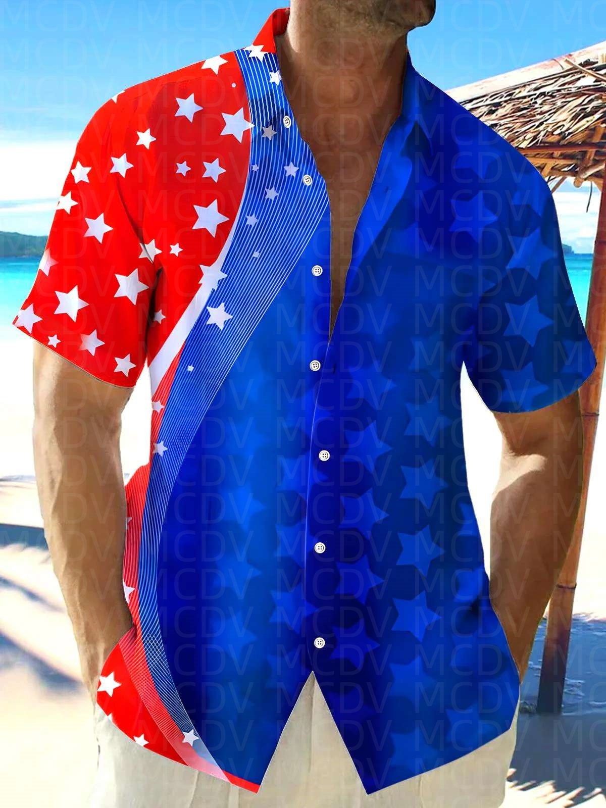 Star Pattern Style Men's Hawai - Shirt Camp Collar のレビューと価格
