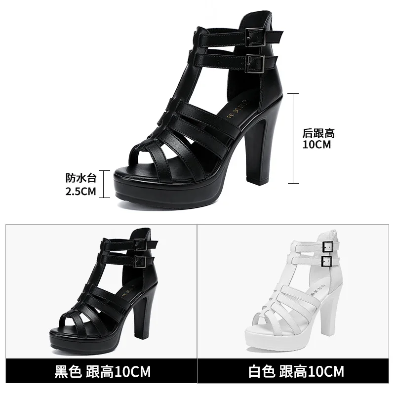 Gladiator Ladies Shoe for Wome - Casual Sandal Leather のレビューと価格